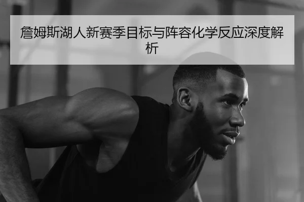 詹姆斯湖人新赛季目标与阵容化学反应深度解析